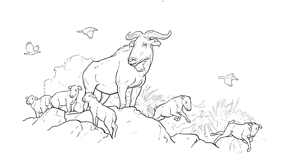 Dhruv Franklin tweet media