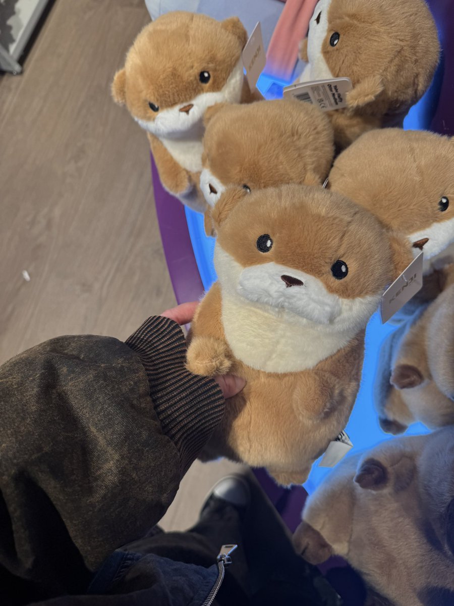 Spenceˣʰ 𐀔 | MMCHK 🐻‍❄️💕 tweet media