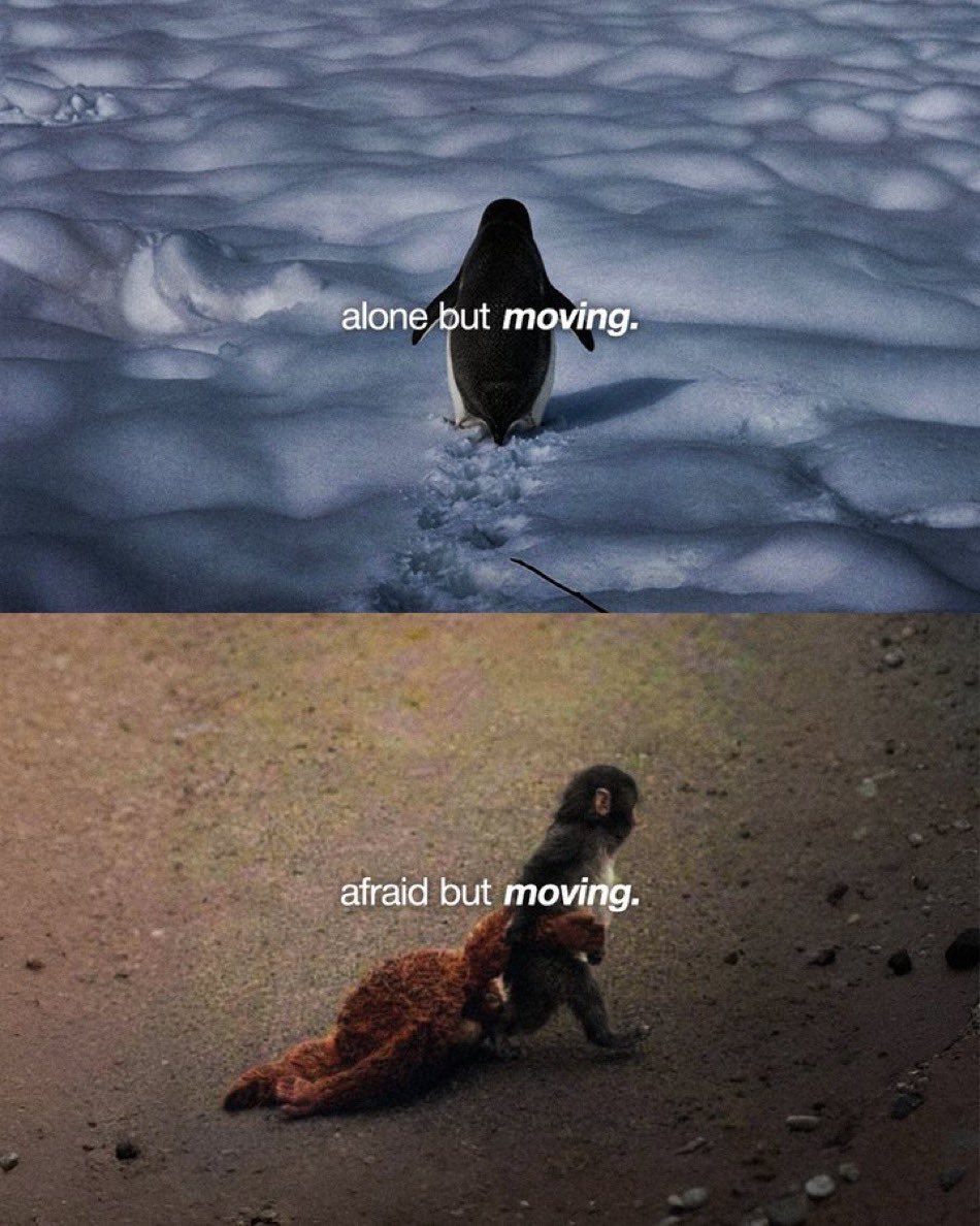 BlockBoss tweet media