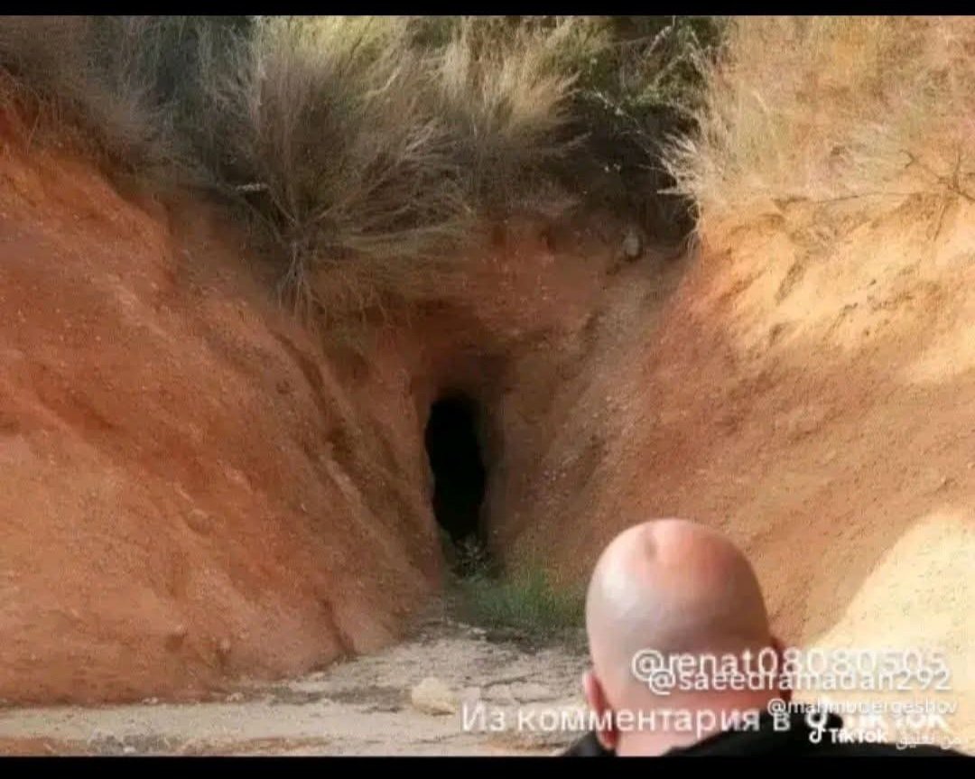 وكت أغبر tweet media