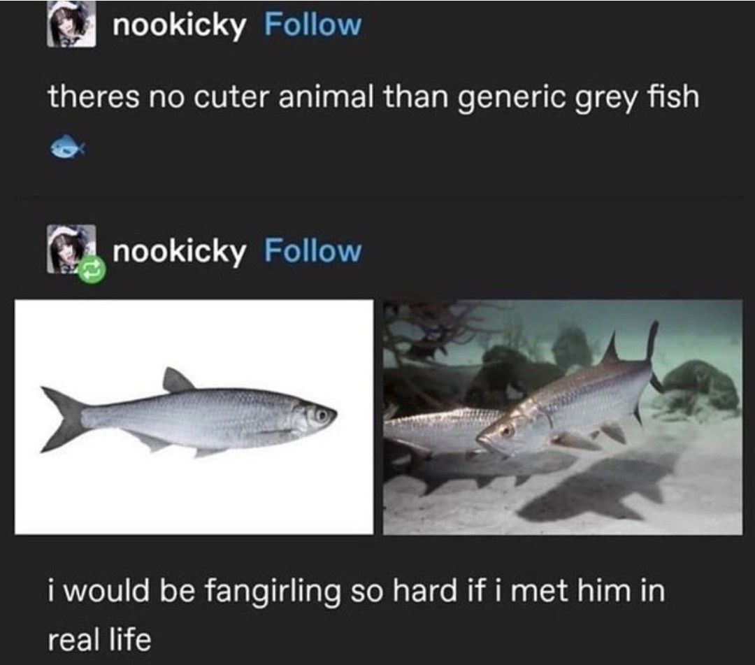 no context memes tweet media