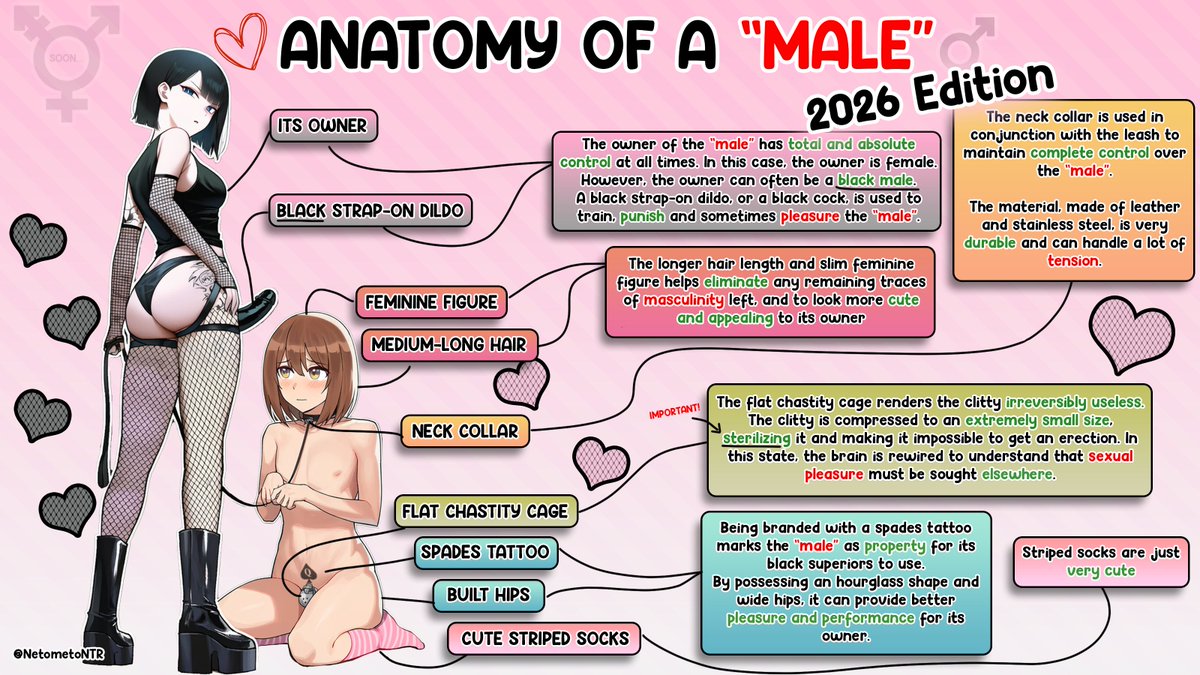 NETOMETO🔞 tweet media