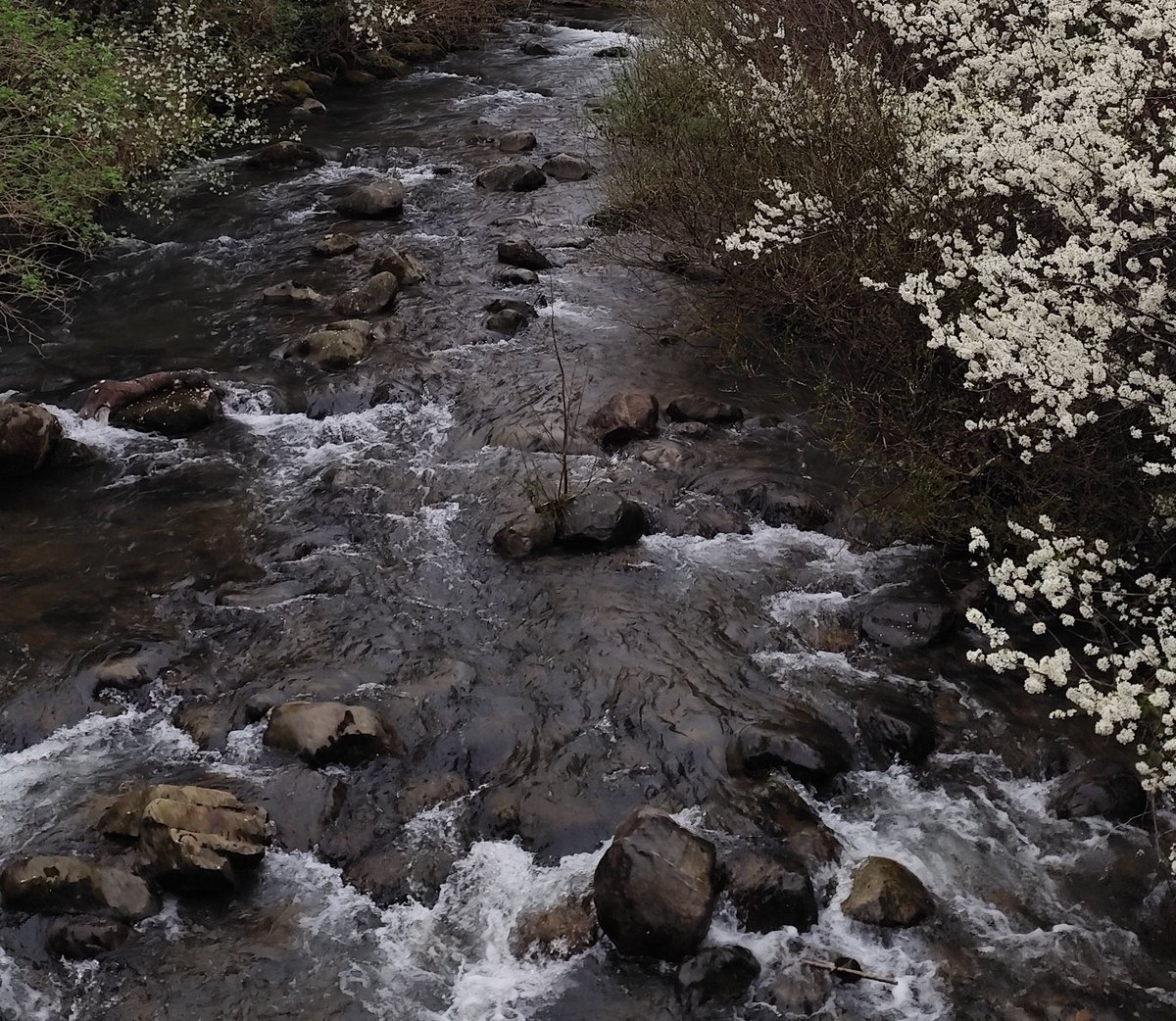 Valle de Valdeón tweet media