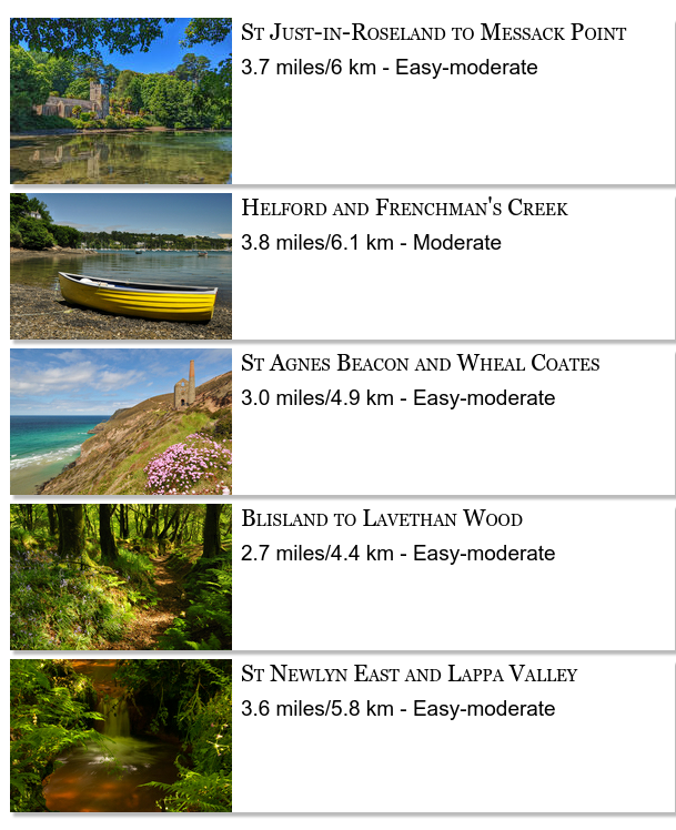 iWalk Cornwall 〓〓 tweet media