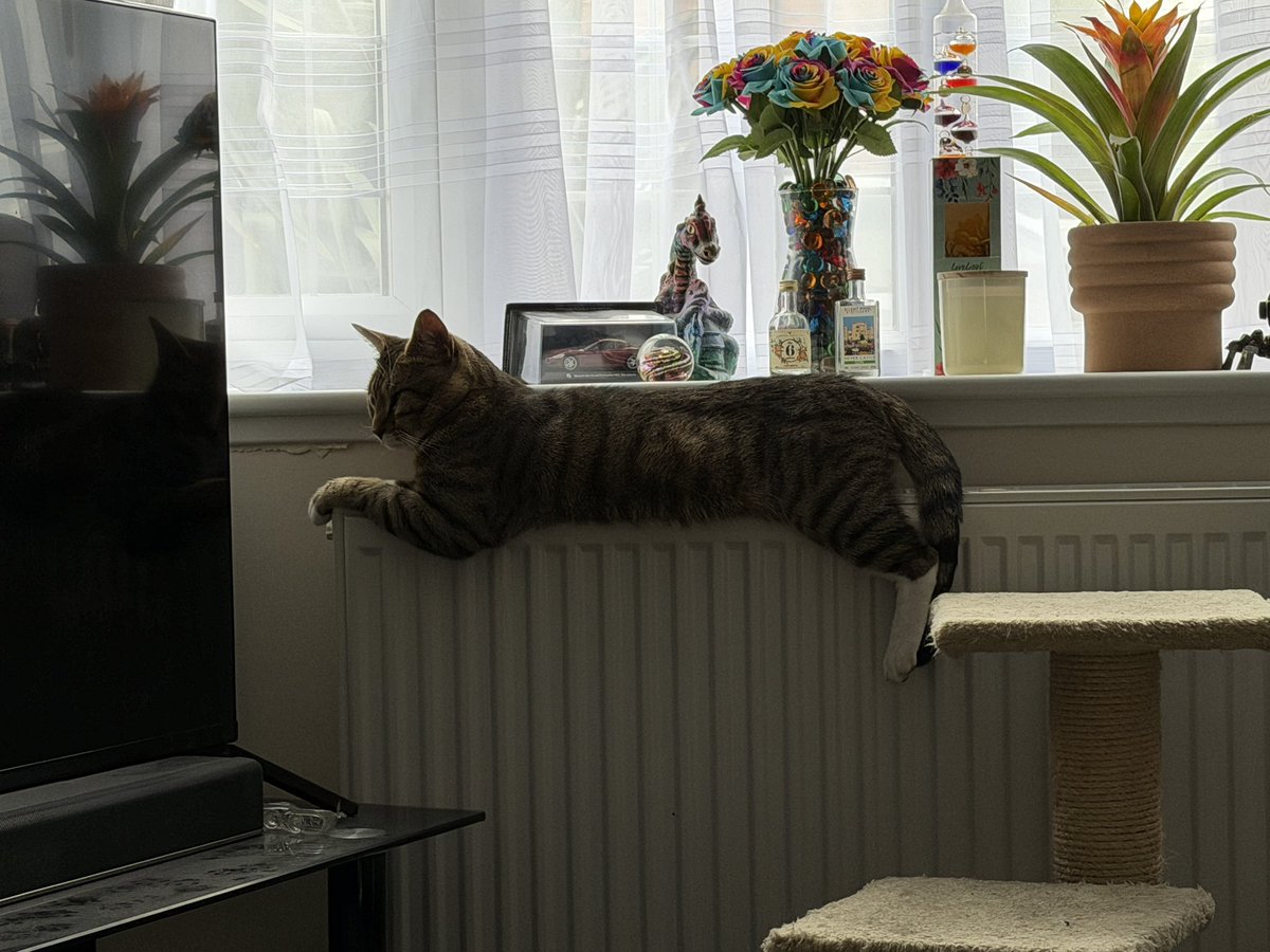 Rob Shipman tweet media