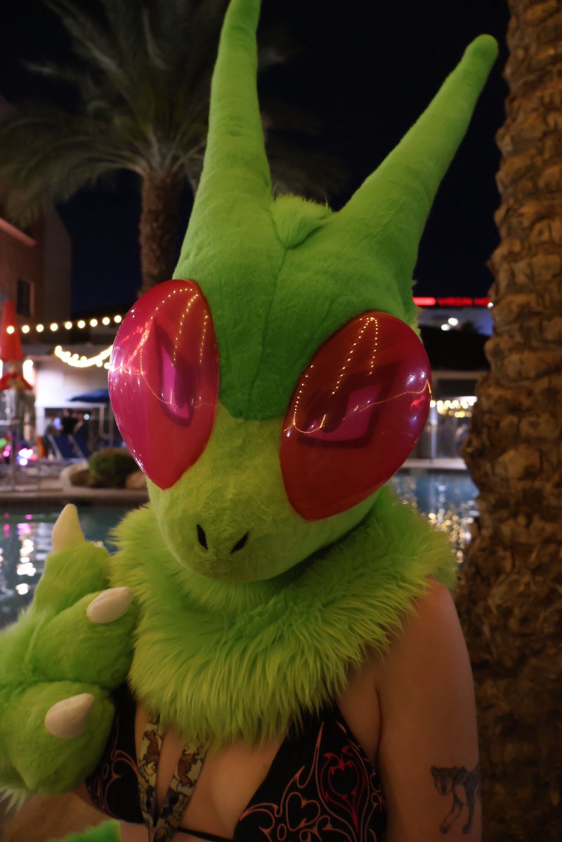 🍃 Bee 🍃 tweet media