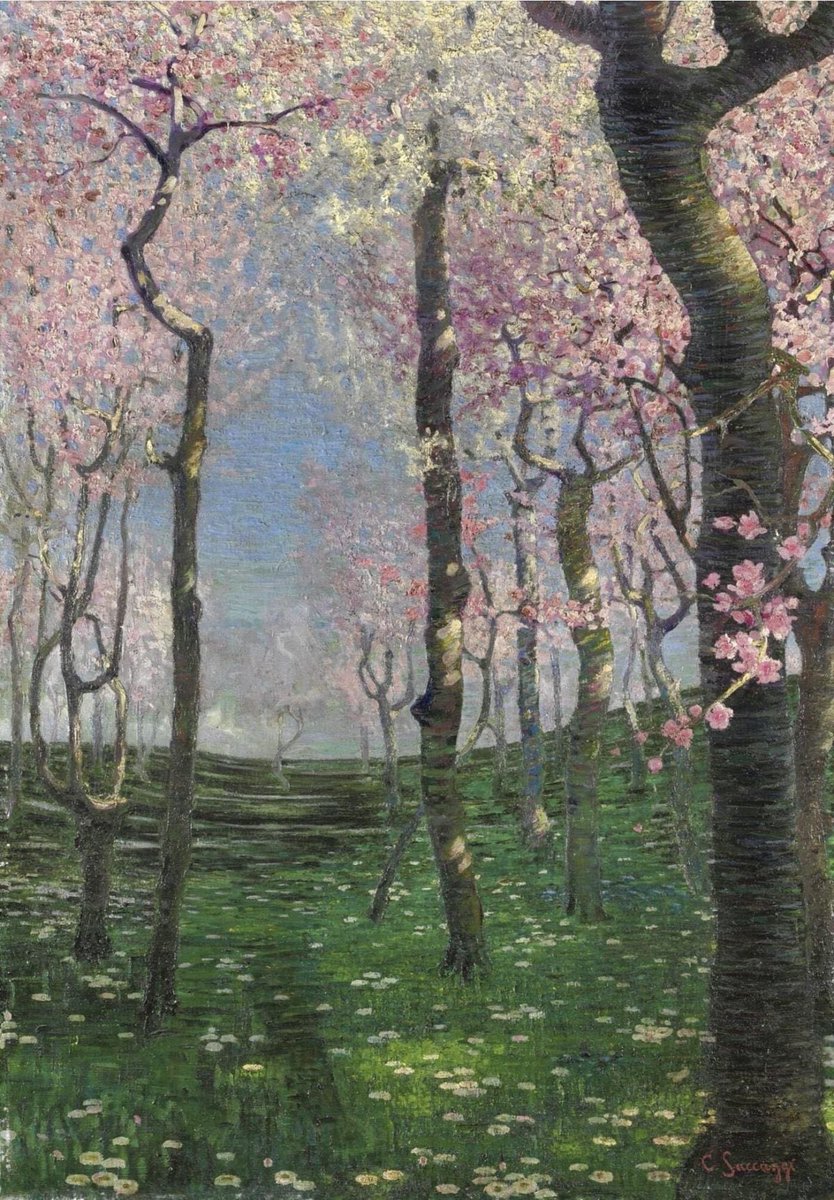 Carlyanne McConnell tweet media