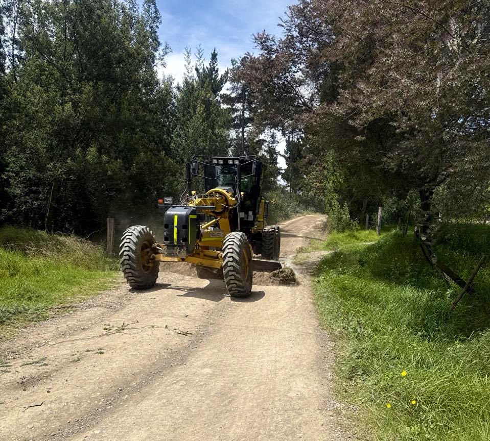 Jorge Emilio Rey Ángel tweet media