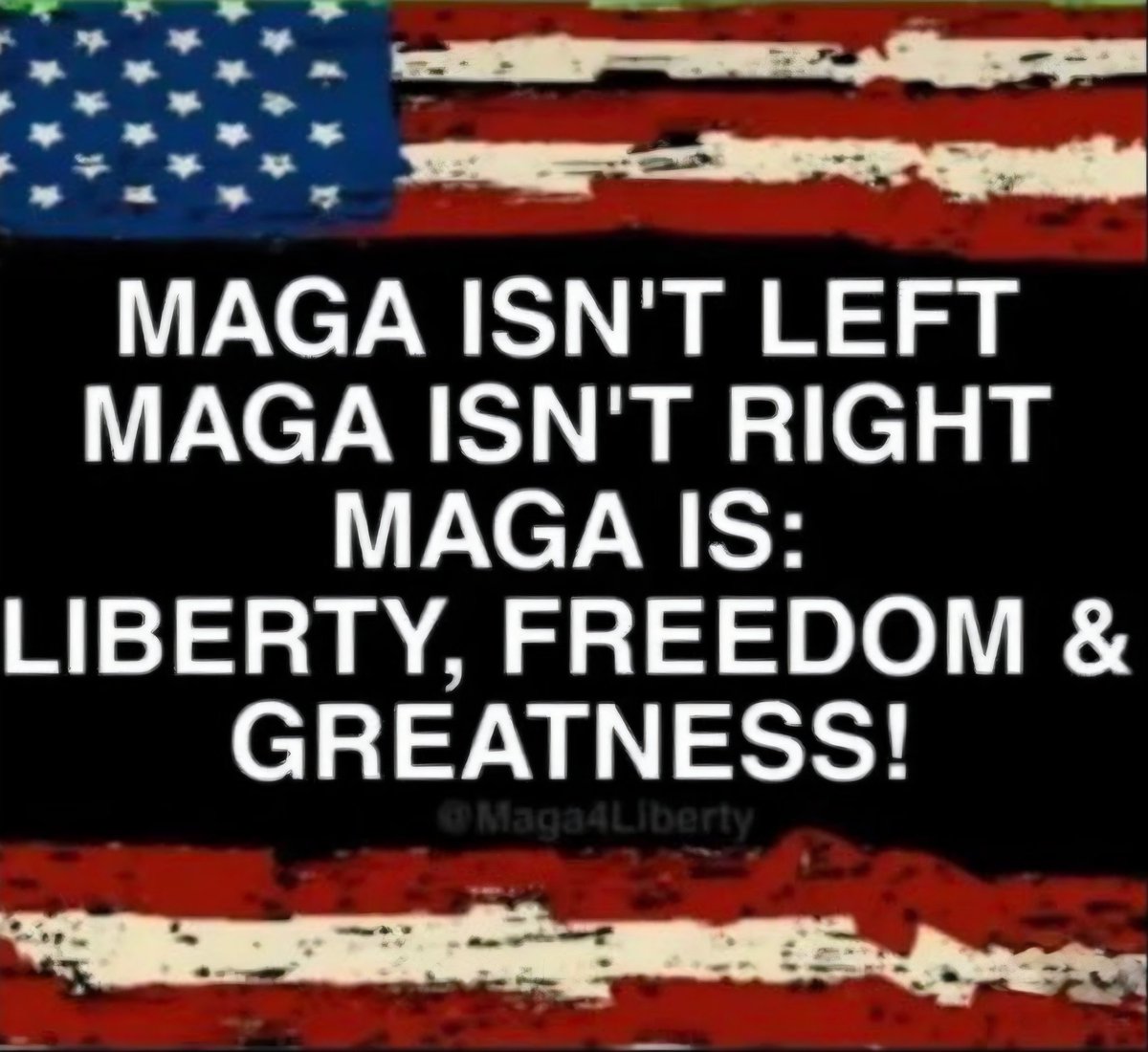 TriggeredVeteran 🇺🇸 tweet media