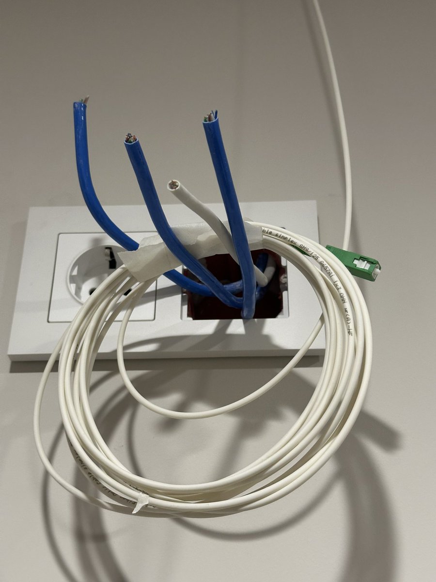 Tima Ficus tweet media