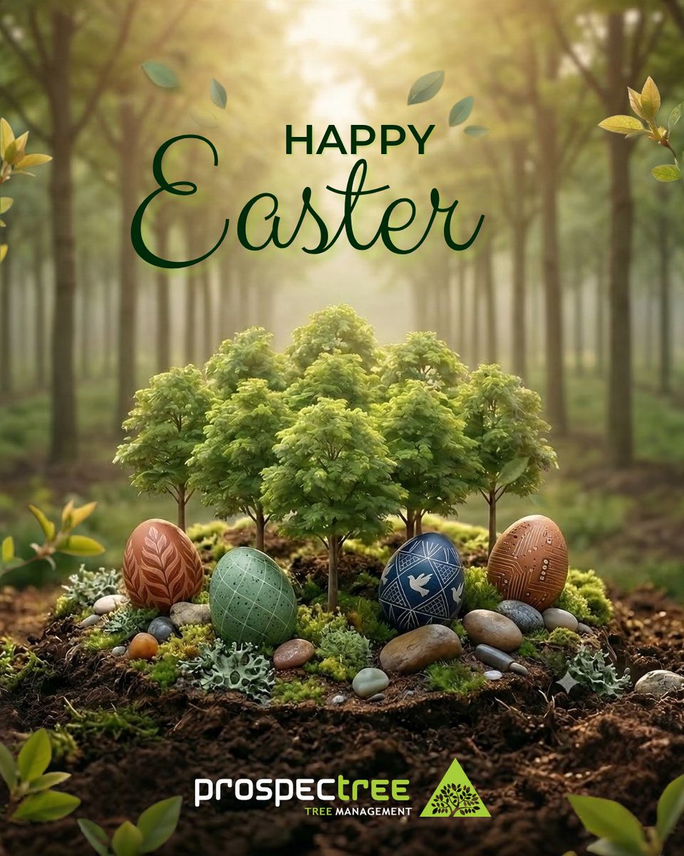 Wishing you peace, good health and a bright spring ahead. 🌿

Happy Easter from the ProspecTree team! 🕊️

#ProspecTree #PhysicalAssets #Growth #HappyEaster