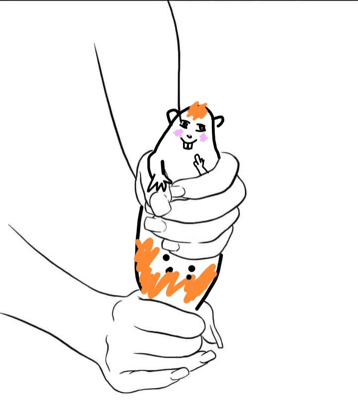 Tiny Bila 🐹 | Small Pet Care tweet media