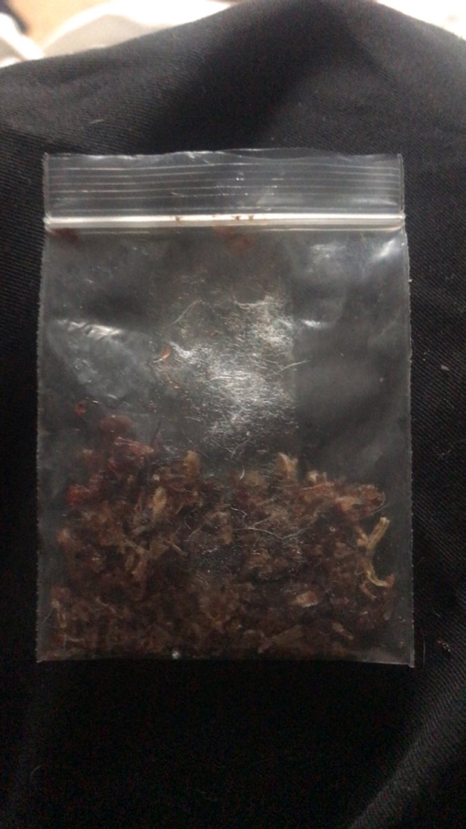 rockbottom tweet media