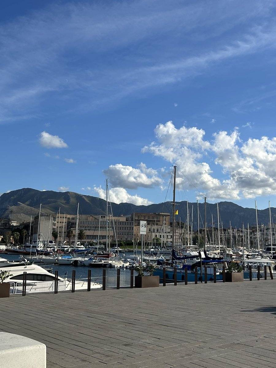 Katarina Ore tweet media