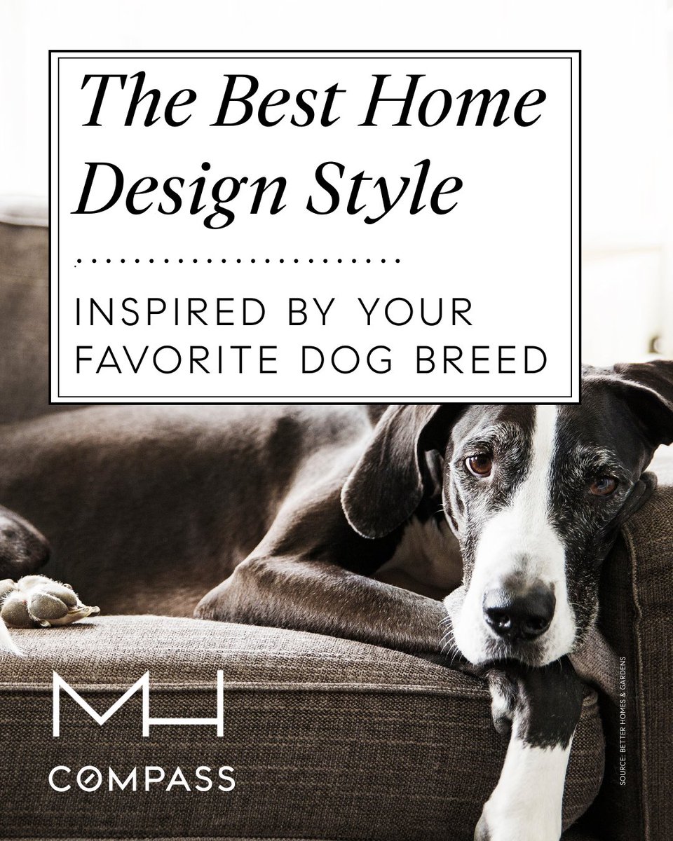 bhamwashrealtor's tweet image. The Best Home Design Style INSPIRED BY YOUR FAVORITE DOG BREED

#MichelleHarrington #Compass #CompassBellingham #RealEstate
