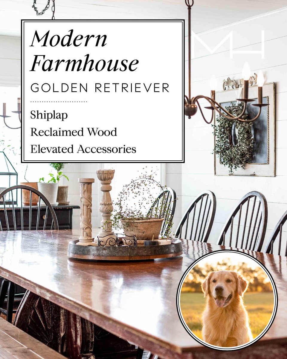 bhamwashrealtor's tweet image. The Best Home Design Style INSPIRED BY YOUR FAVORITE DOG BREED

#MichelleHarrington #Compass #CompassBellingham #RealEstate
