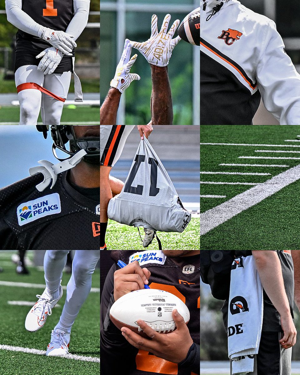 BC LIONS tweet media