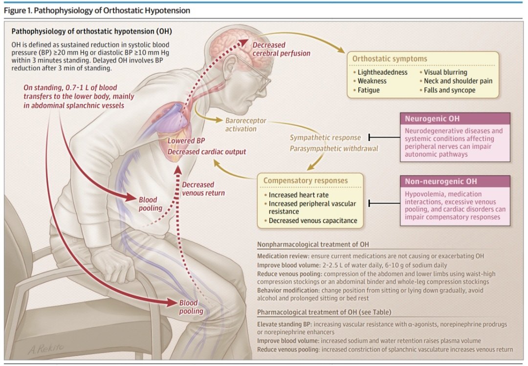 Dr. FEVI🫀🩺 tweet media