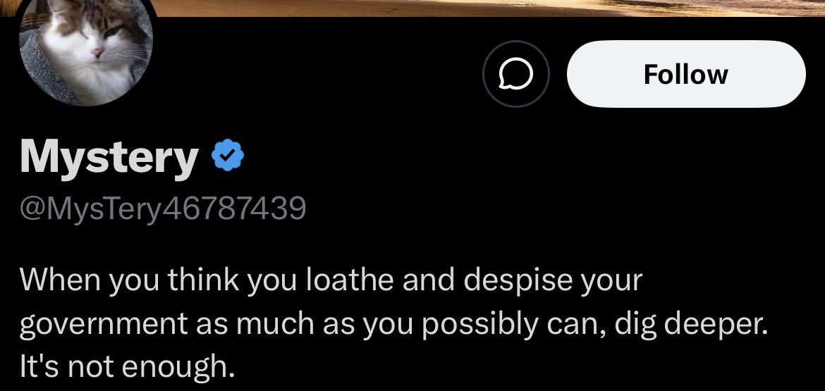 Fictional Authority tweet media