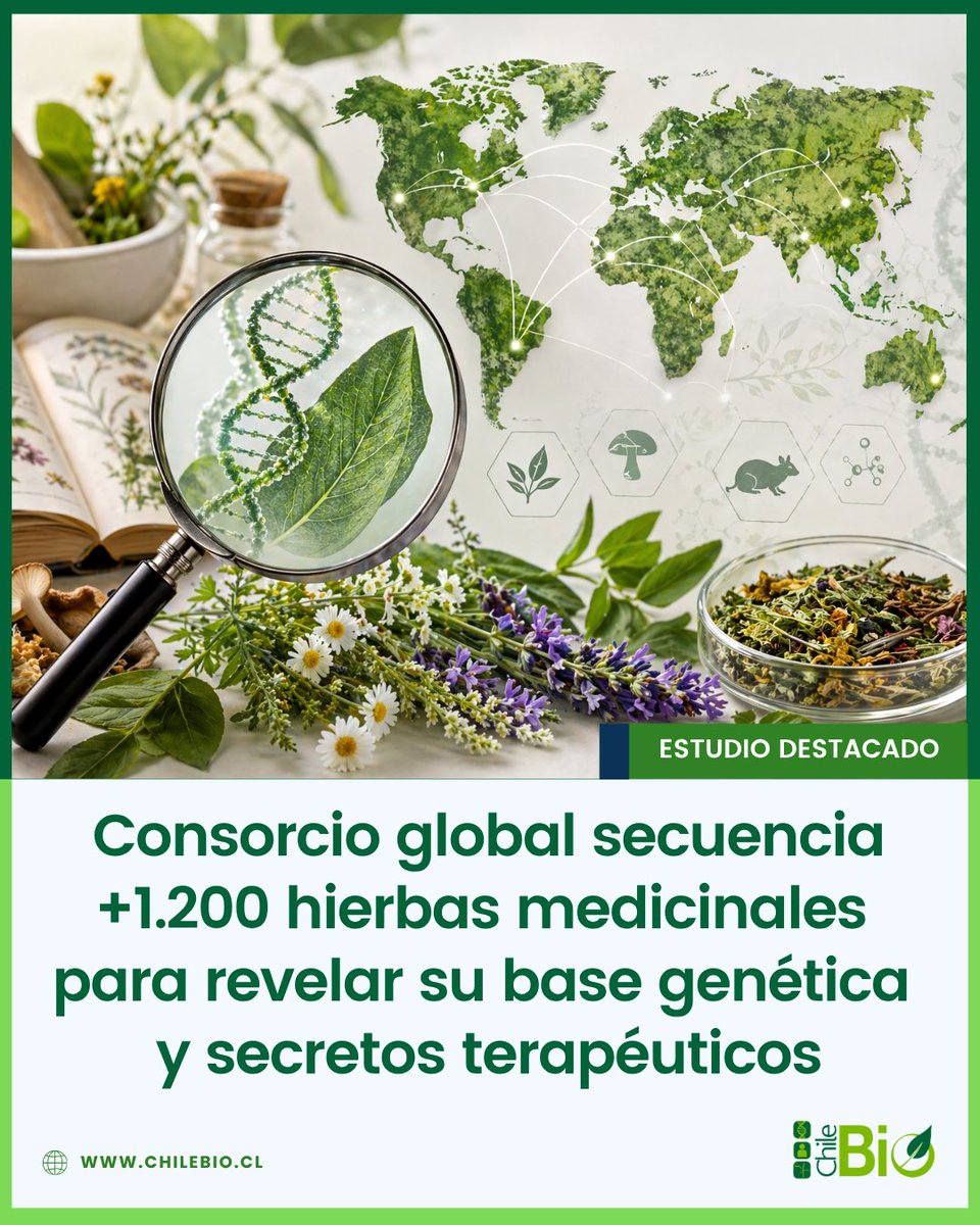 ChileBio tweet media