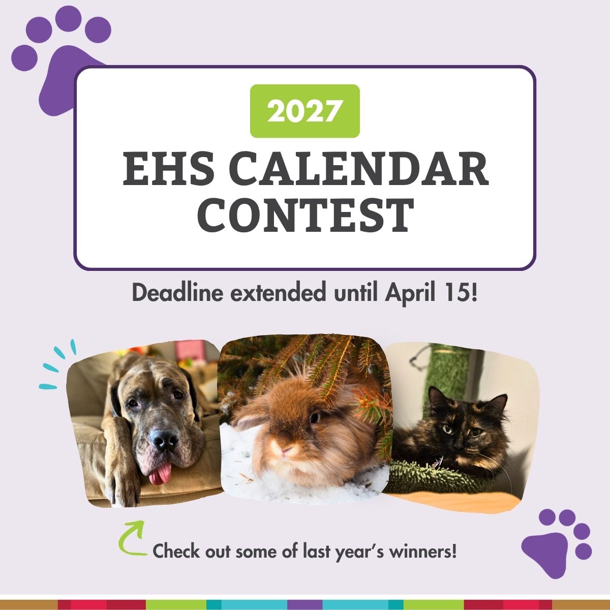 Edmonton Humane Society tweet media