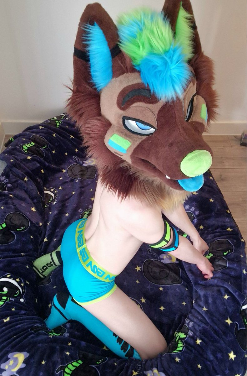 ShepDex 🔜 CFz tweet media