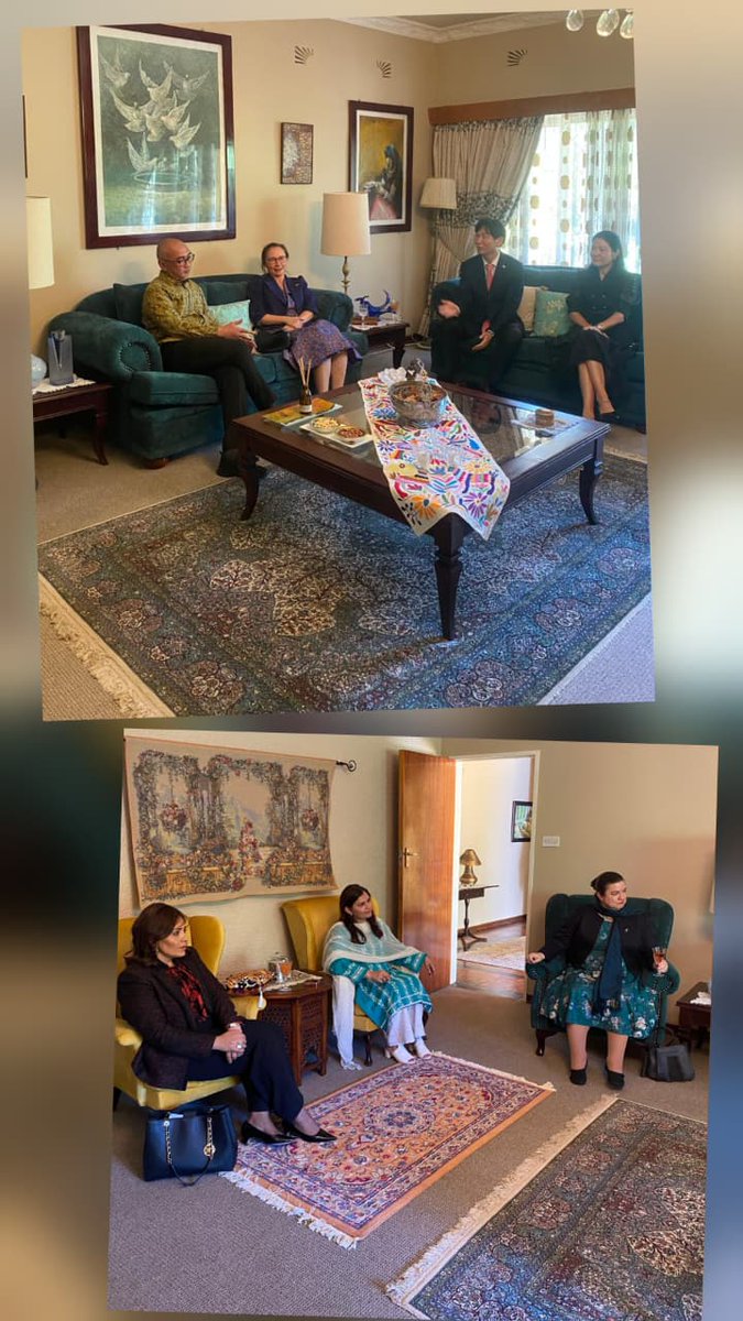 Pakistan Embassy Zimbabwe tweet media