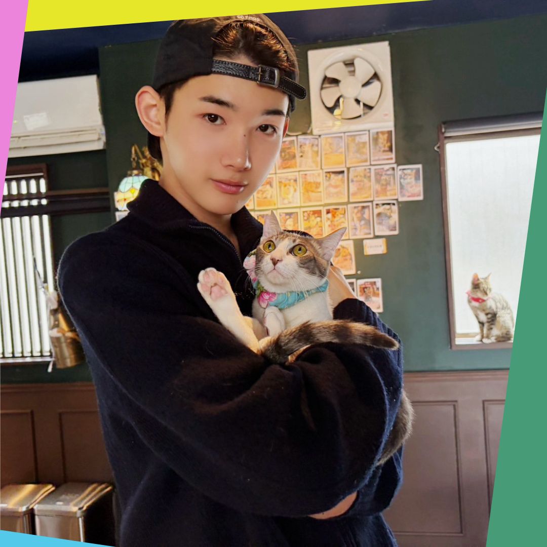 gohanekosuki's tweet photo. jo with cats🐈🐈🐈🐈 https://t.co/d41QxvouwQ