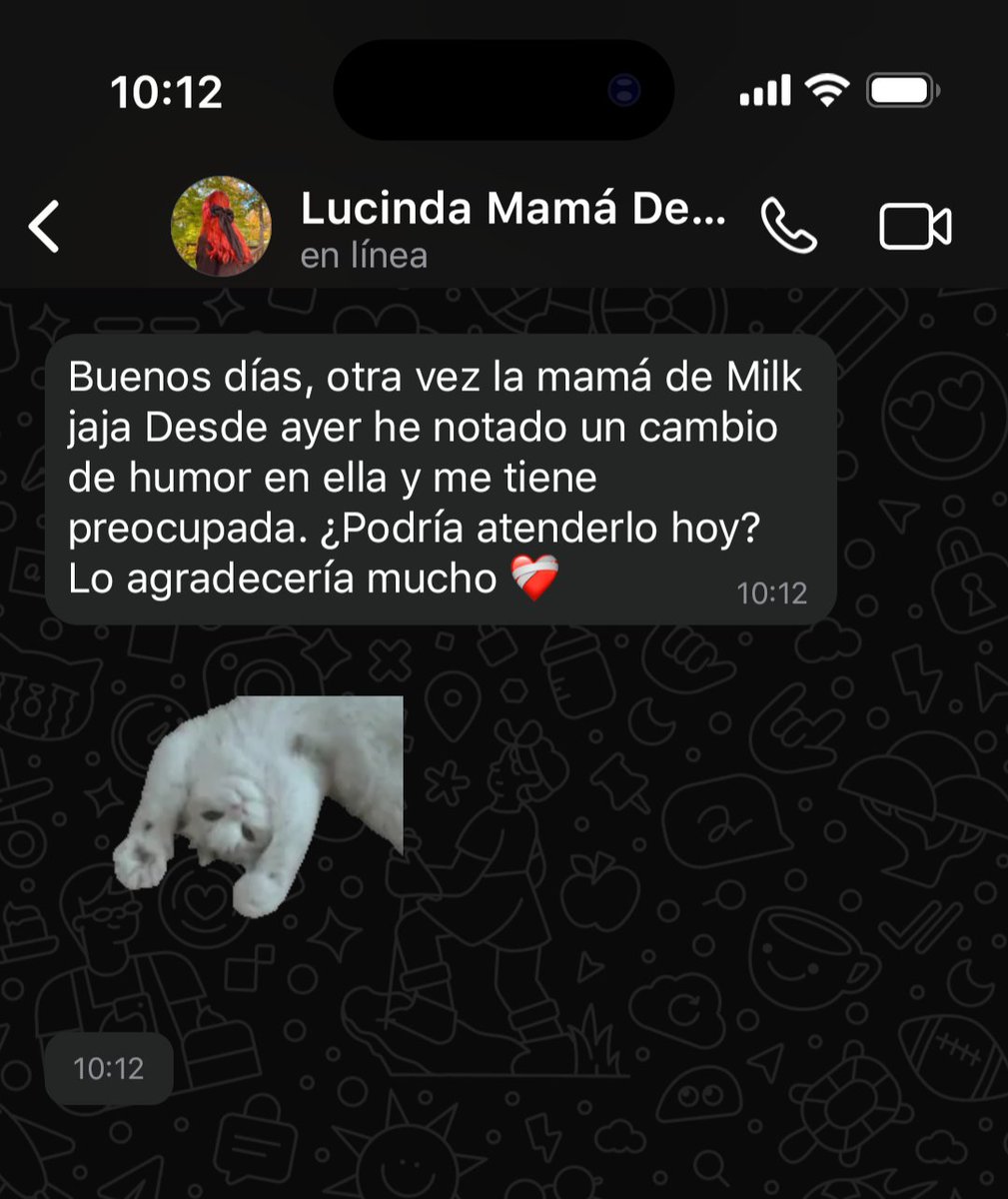 lari ♱ au's 📌 fan de Lukena tweet media