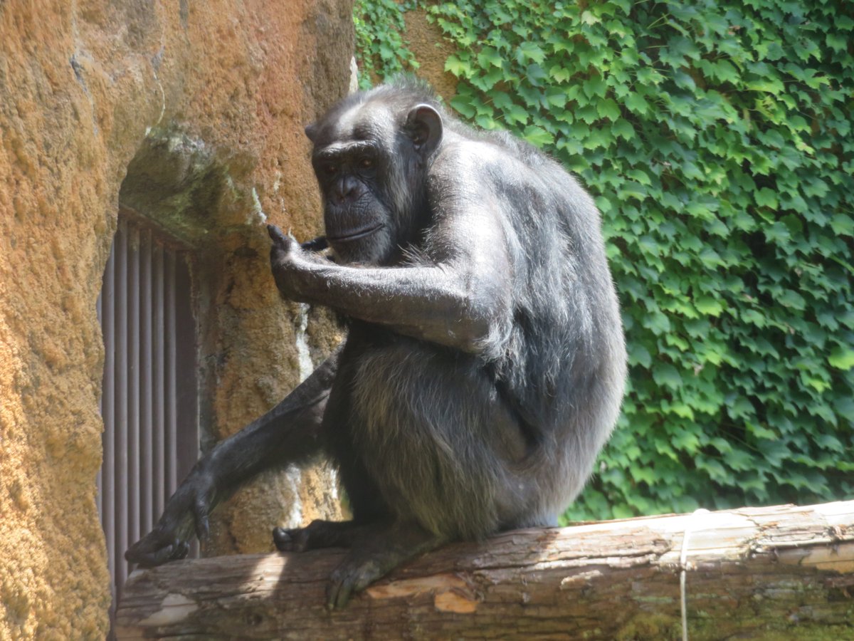 溝上万里央 tweet media