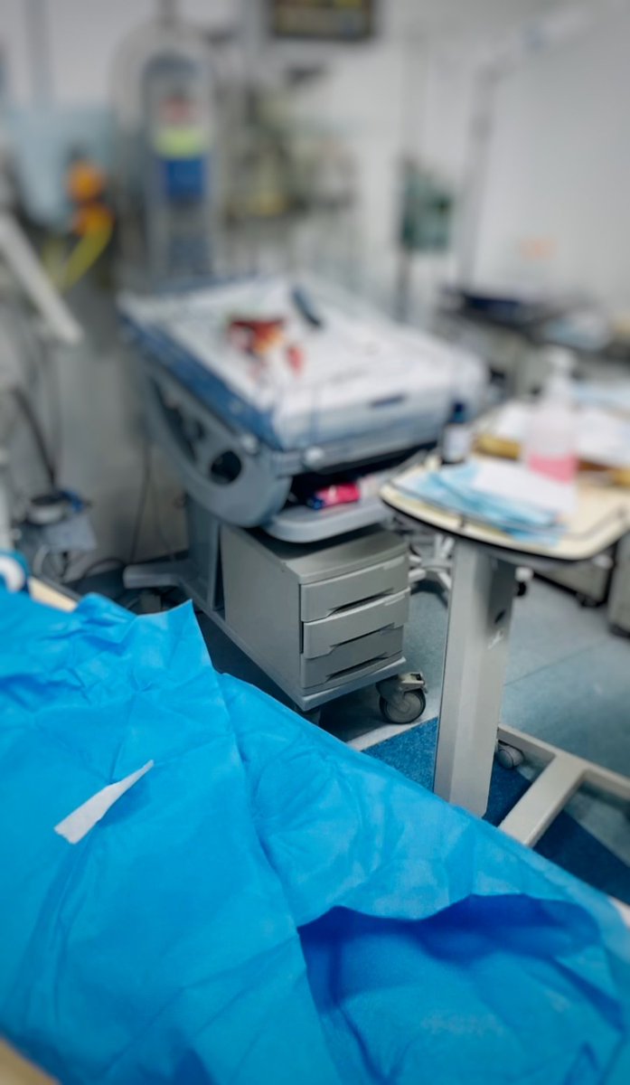 TranquilCanvas's tweet image. Glad to know she’s doing well… brings a quiet kind of peace.
#SleeplessNight #NightDuty