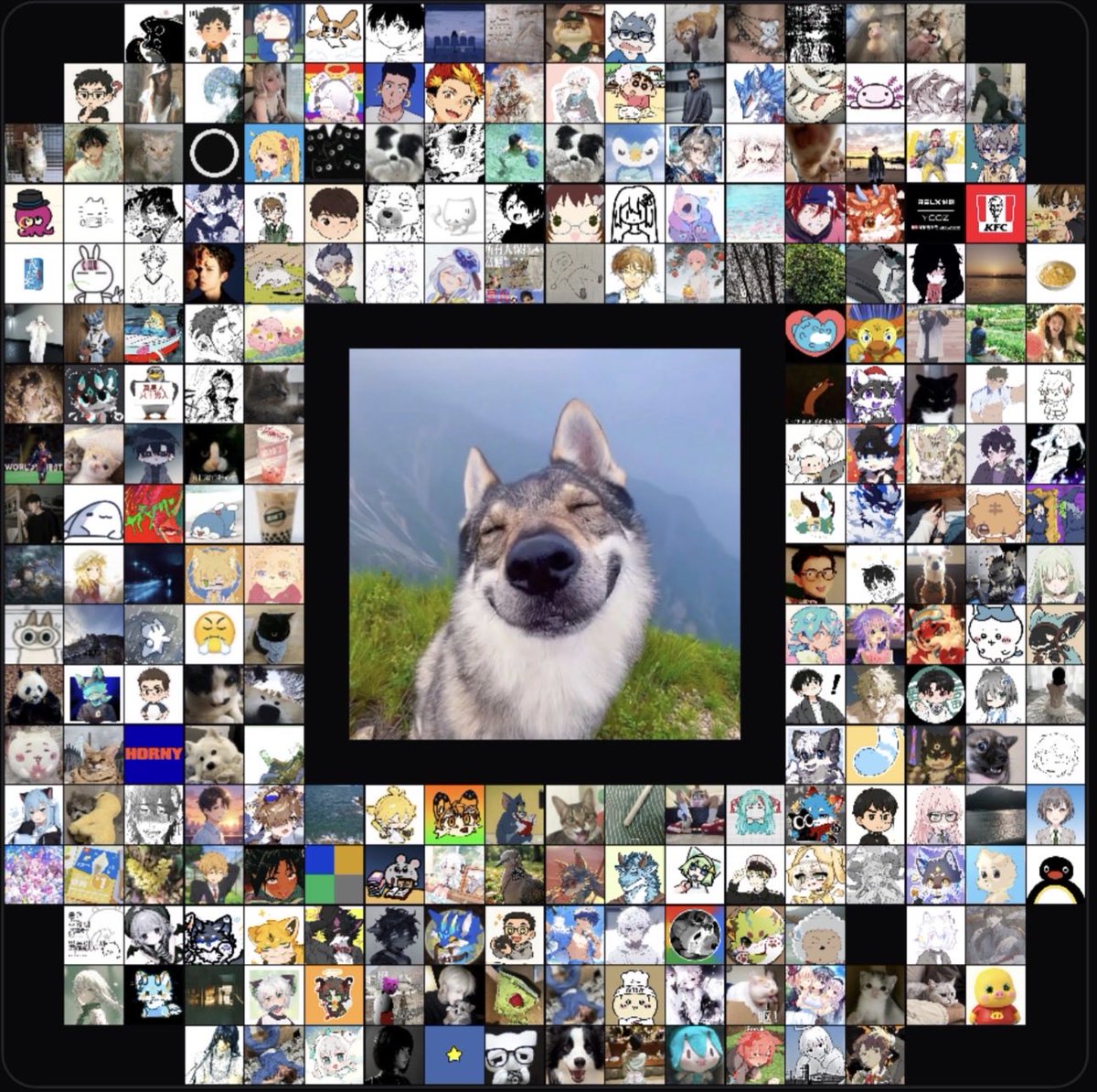 白🌟迟 tweet media