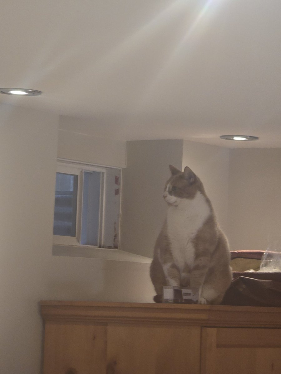 Reality Dysfunction tweet media