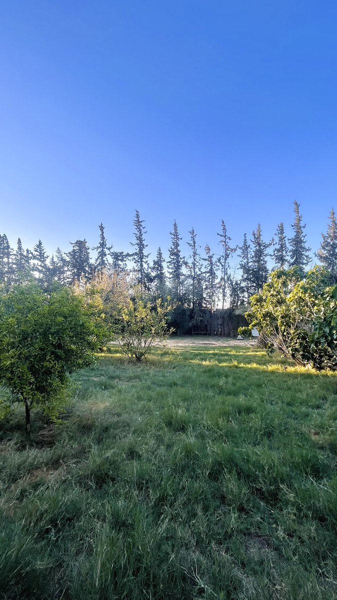 Retaj Elkhafi 🇱🇾💕 tweet media