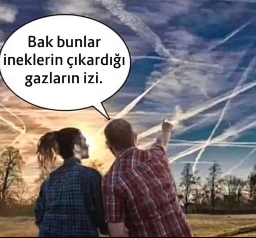 Spiritual Gangster tweet media