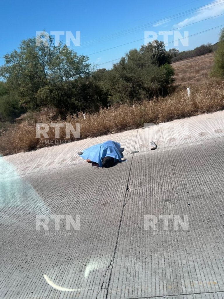 RTN Medios tweet media