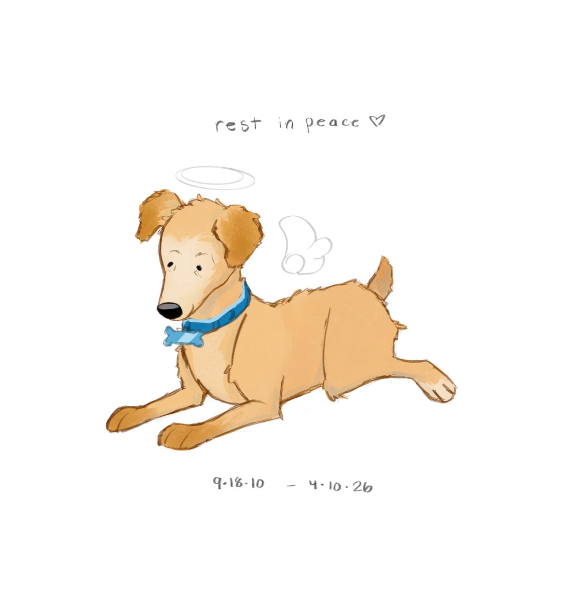 laila 🩵 tweet media