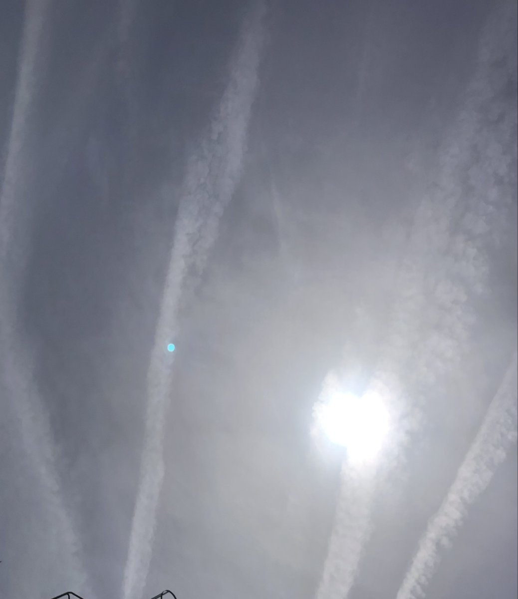 Empecinado10 tweet media