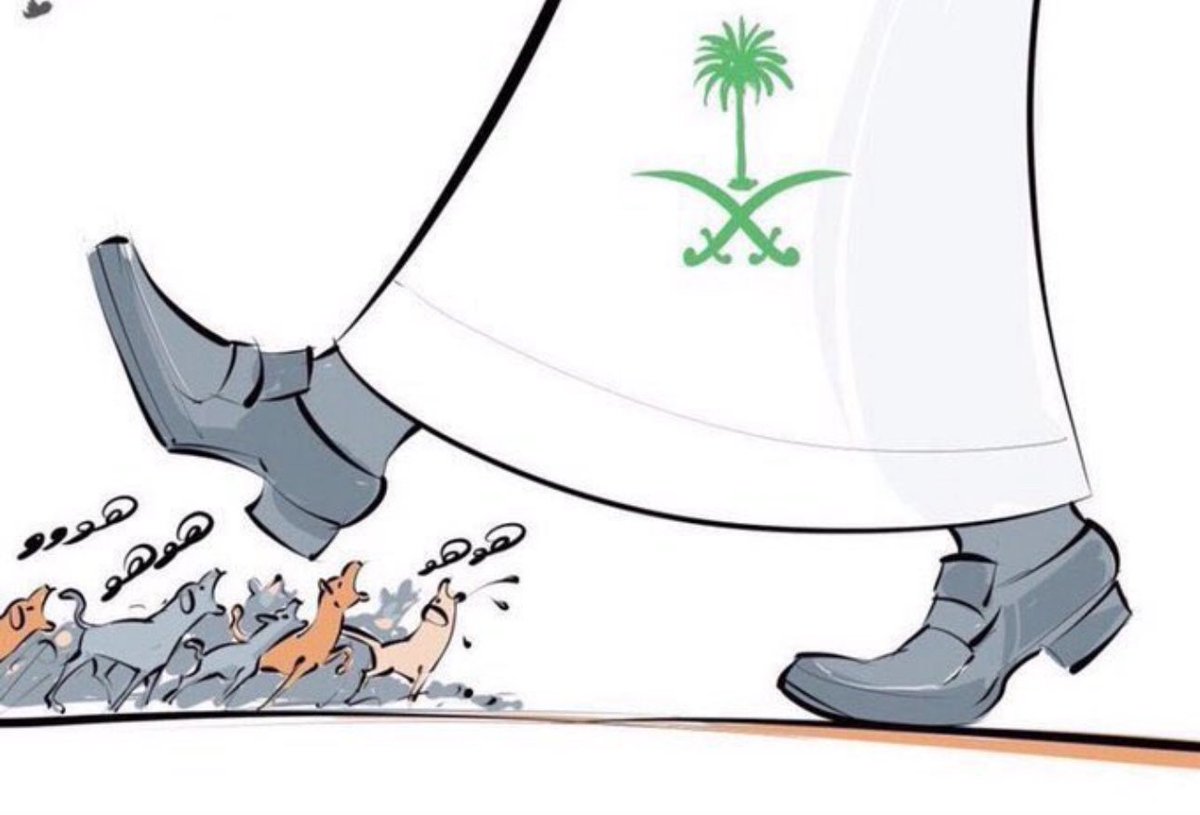 حكيم 🇾🇪 عربي اصيل من سكان الحصبة tweet media
