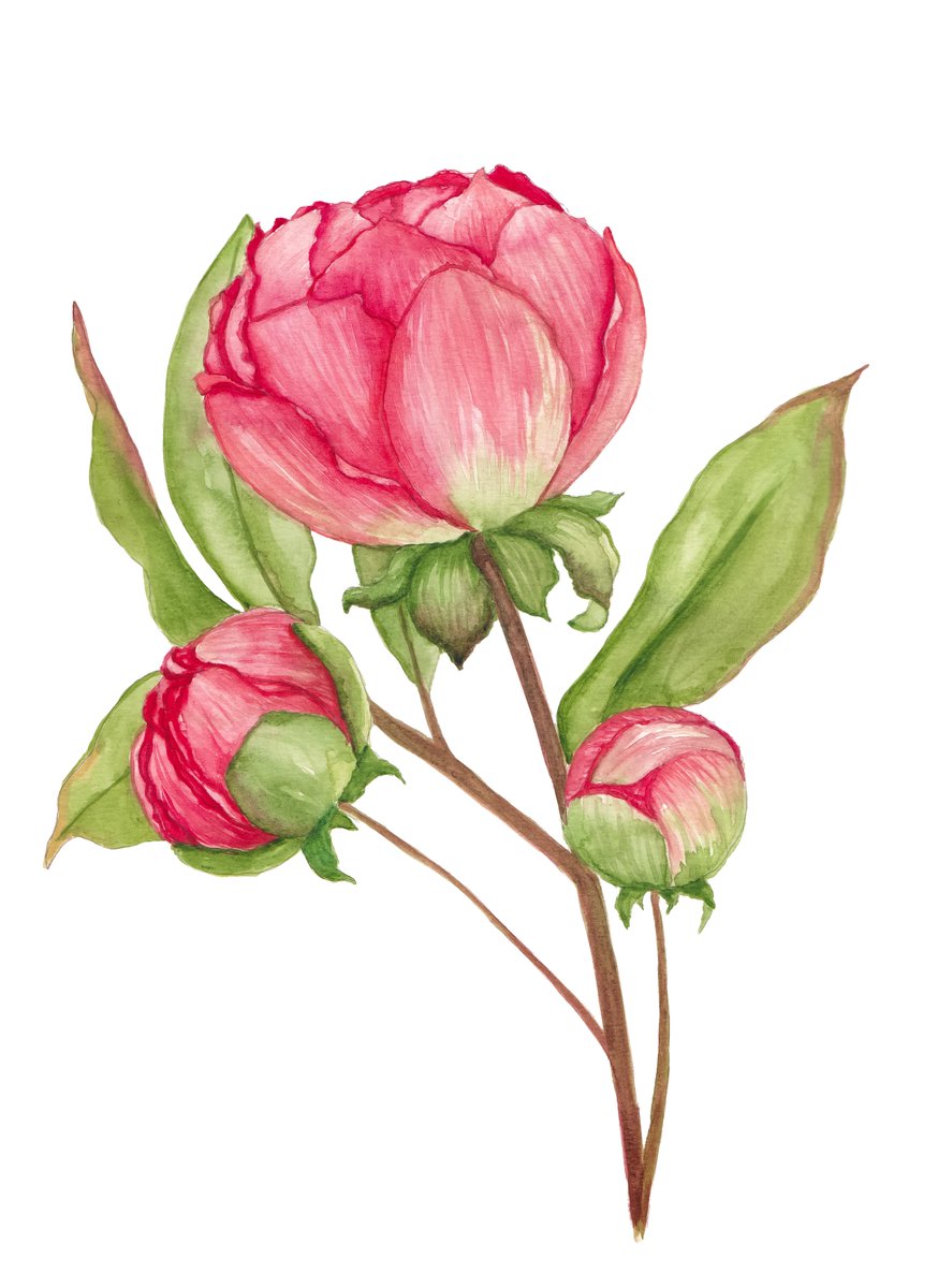 BiPhilippi🐝 tweet media