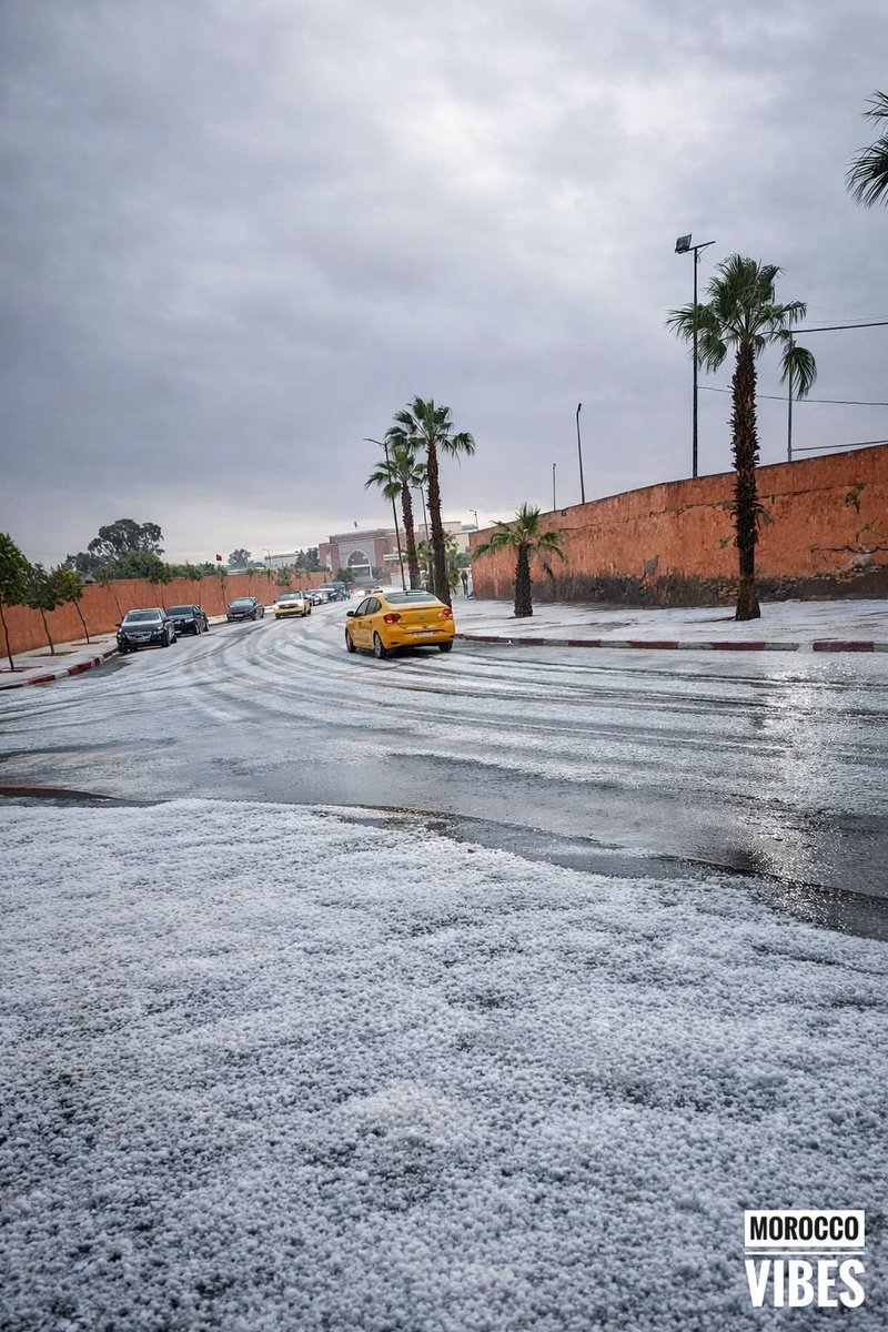 Mostapha Habib Allah tweet media