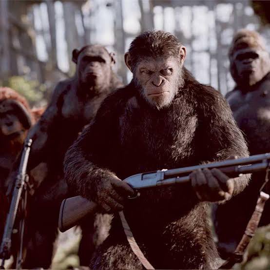 Trending Explained tweet media