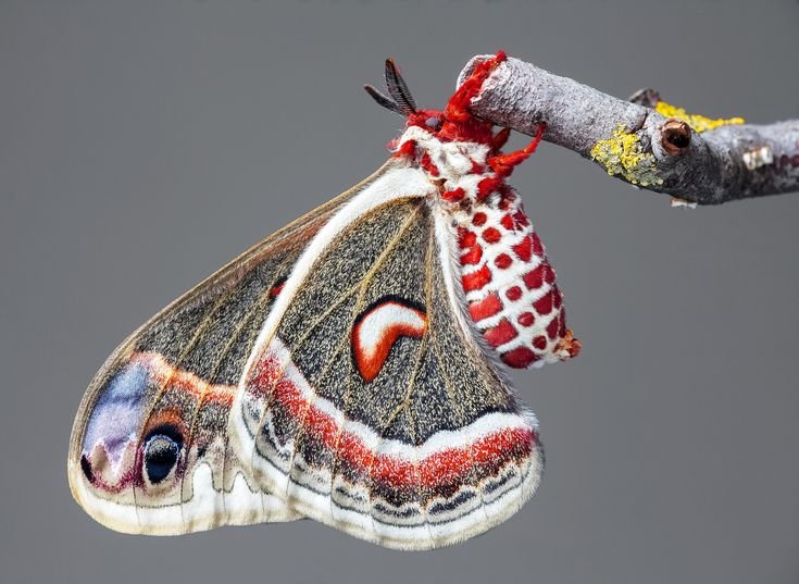 hawa ❤︎ tweet media