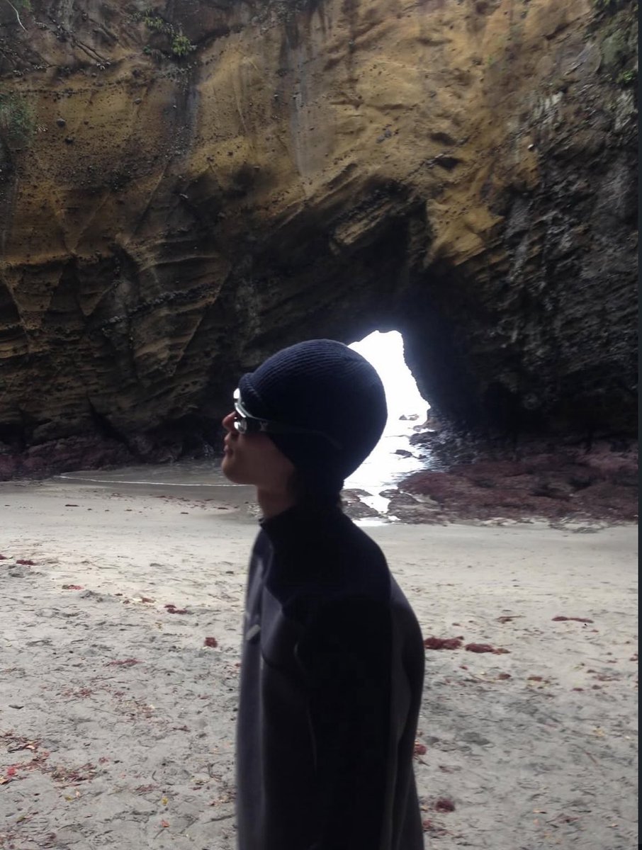 SALSA ✩ semi ia tweet media