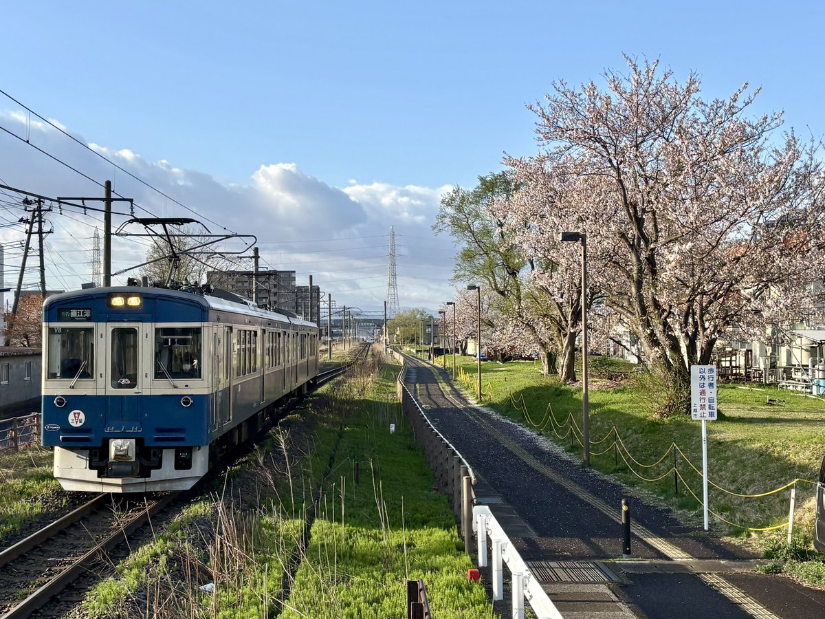 hakutaka.ltd.exp tweet media