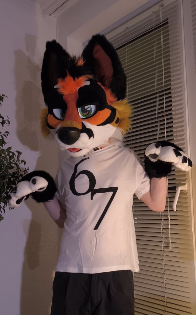 Comet 🔜 FWA tweet media