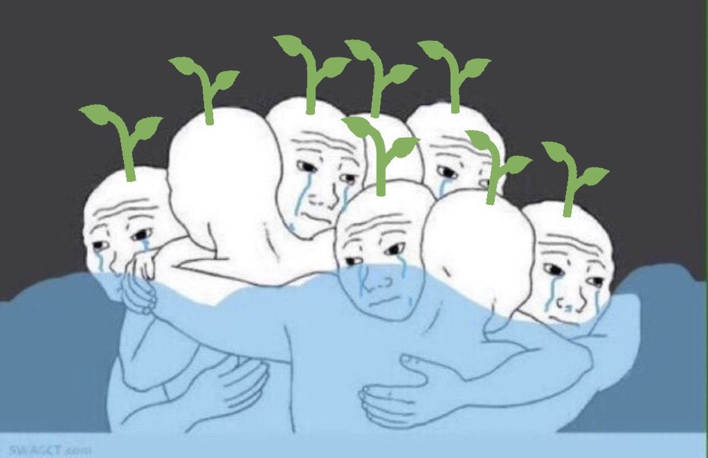 ayaya 🥬 tweet media