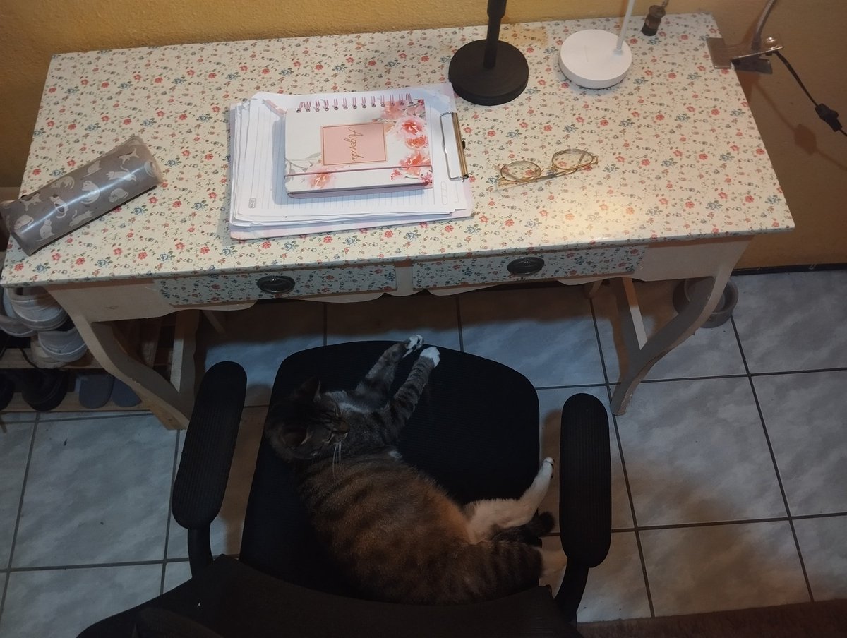 psicanalista histérica tweet media