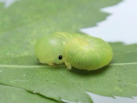 hawa ï๑ tweet media