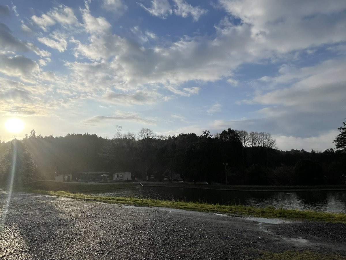 よっしー tweet media